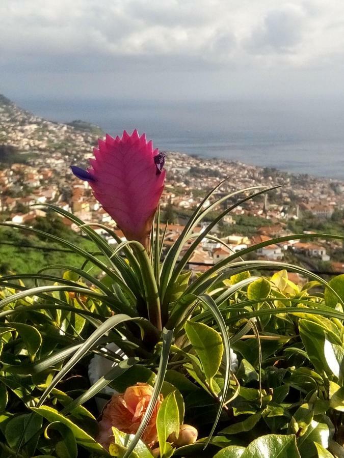 La Chambre de Ker Briac Funchal  Extérieur photo
